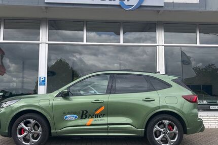 Ford Kuga 11.000 km 39.990 &euro; Willich-Anrath 47877