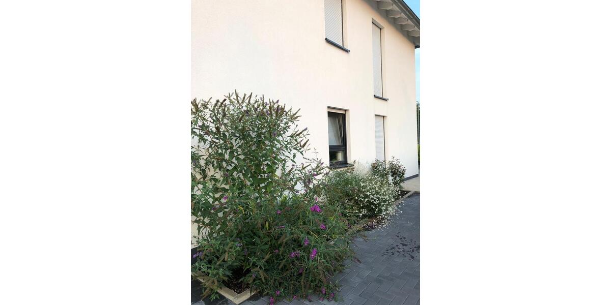 Einfamilienhaus Duisburg Hochheide - 4 Zimmer, 120 m&sup2;, 600.000&euro; | Angebot:27189868