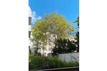 Gewerbeobjekt Düsseldorf Pempelfort - 330&euro; | Angebot:12016555