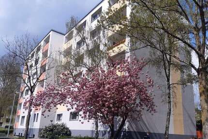 Wohnung Düsseldorf Knittkuhl - 3 Zimmer, 71 m&sup2;, 795&euro; | Angebot:27213376