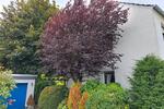 Reihenhaus Grevenbroich - 5 Zimmer, 171 m&sup2;, 369.000&euro; | Angebot:26872081