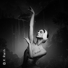 Grand Classic Ballet - Schwanensee - Jenseits der Bühne mit live Streichquartett 30.12.2026 Classic Remise Düsseldorf