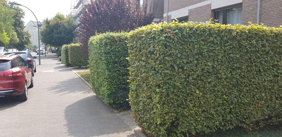 Hochparterre Düsseldorf Stadtbezirk 9 - 2 Zimmer, 60 m&sup2;, 400.000&euro; | Angebot:27226292