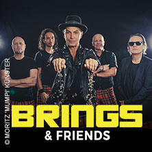 Brings & Friends - mit LaBrassBanda, Moop Mama, dArtagnan 17.07.2027 SparkassenPark Mönchengladbach