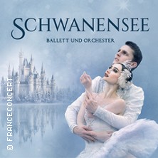 Schwanensee - Ballett mit Orchester 2027 12.03.2027 CASTELLO Düsseldorf