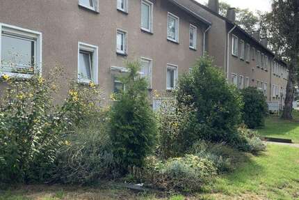 Wohnung Duisburg Vierlinden - 1 Zimmer, 38 m&sup2;, 369&euro; | Angebot:27445614