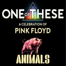 One Of These – A celebration of Pink Floyd / Animals Tour 29.11.2026 Pitcher