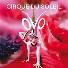 Cirque du Soleil - OVO 05.02.2027 Rudolf Weber-ARENA